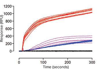 Representative fluorescence signal traces