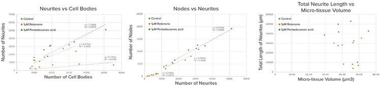 Statistics of neurite outgrowth analysis