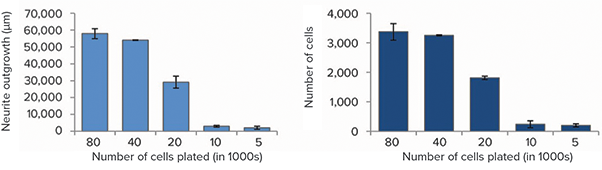 Graphs demonstrate dependencies of various measurements from the number of plated neurons. Averages from triplicate wells presented.