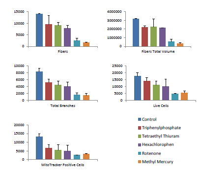 3D measurements characterizing compound effects on neurite networks