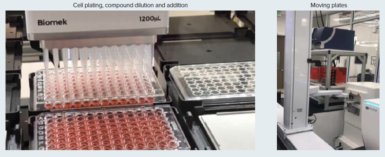 Automation of cell culture, compound treatment, and imaging