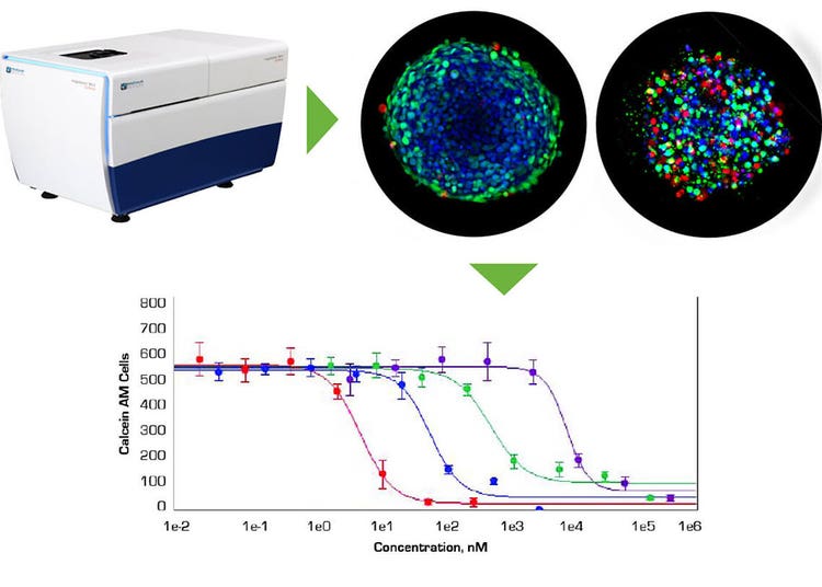 Analysis of 3D spheroids
