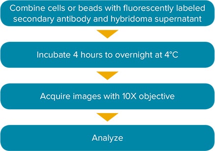 Assay workflow