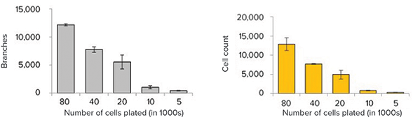 3D analysis was performed defining the number of neurites per well
