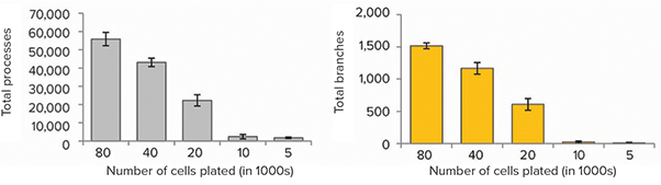 Graphs demonstrate dependencies of various measurements from the number of plated neurons. Averages from triplicate wells presented.