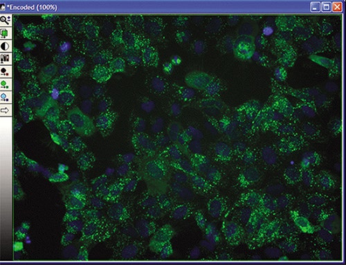 Transfluor Assay Selected well data