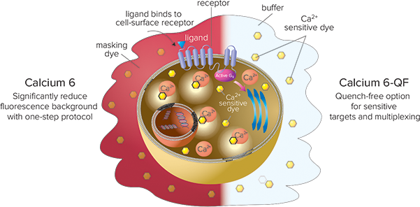 Assay flexibility with or without masking technology