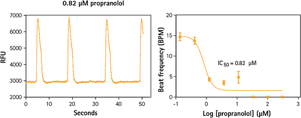 iPSC cardiomyocytes treated with propranolol exhibit a slower beat frequency