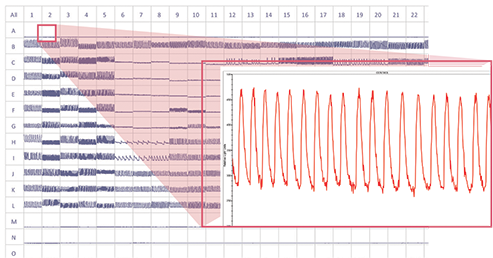 Beating cardiomyBeating cardiomyocytes and compound effects on response