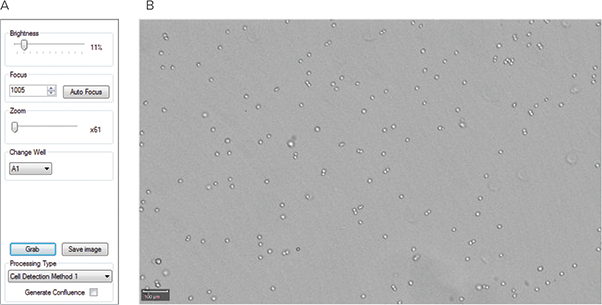 Setting the focus on the CloneSelect Imager