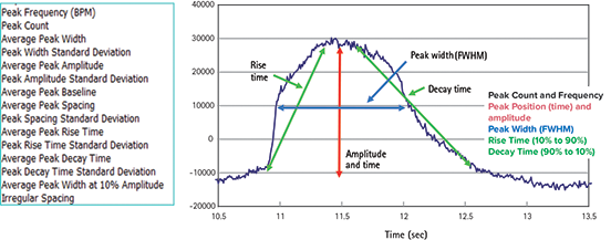 Software analysis output parameters