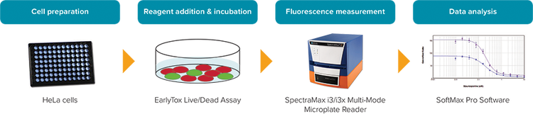 EarlyTox Live/Dead Assay workflow