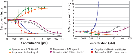 Effects of ß-adrenergic receptor agonists/antagonists and ion channel blockers