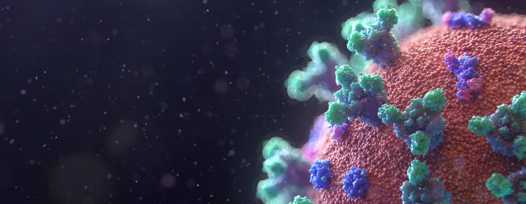 Vaccine Development- Ebook
