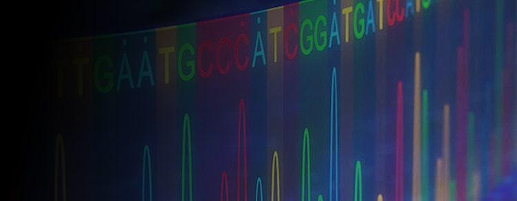 Protein Detection eBook
