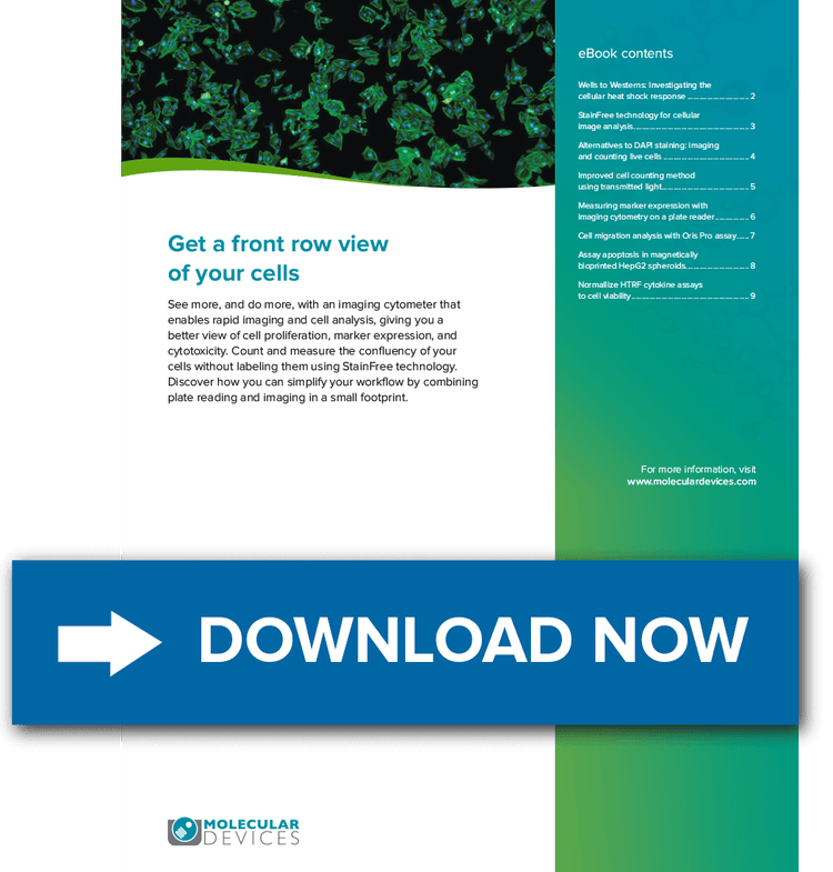 Cell Proliferation-Ebook