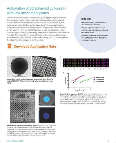 3D spheroid cultures
