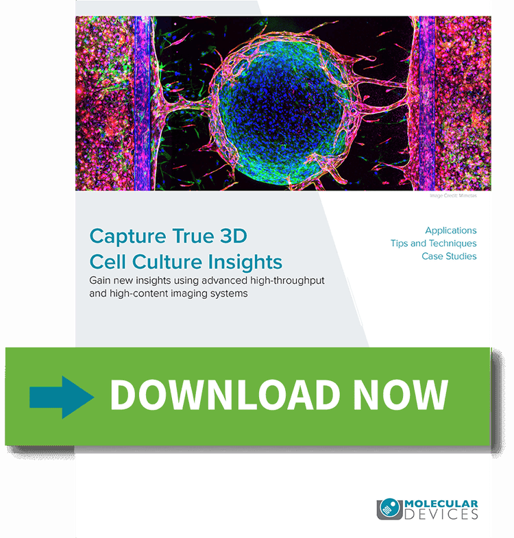 3D Cell Culture Insights-Ebook
