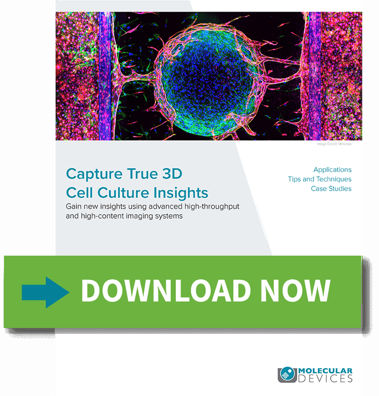 3D Cell Culture Insights-Ebook