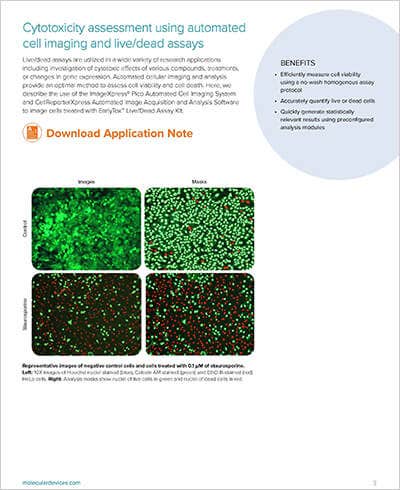 Cytotoxicity assessment