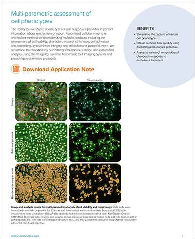 Multi-parametric cell phenotypes
