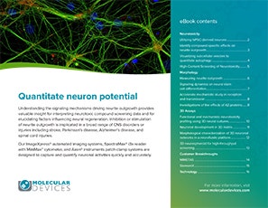 Neuron Potential