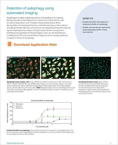 Detection of autophagy