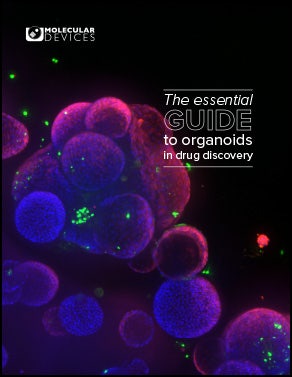 Ebook- The essential guide to organoids