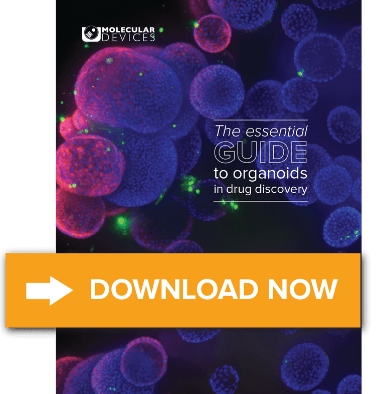 Ebook- The essential guide to organoids