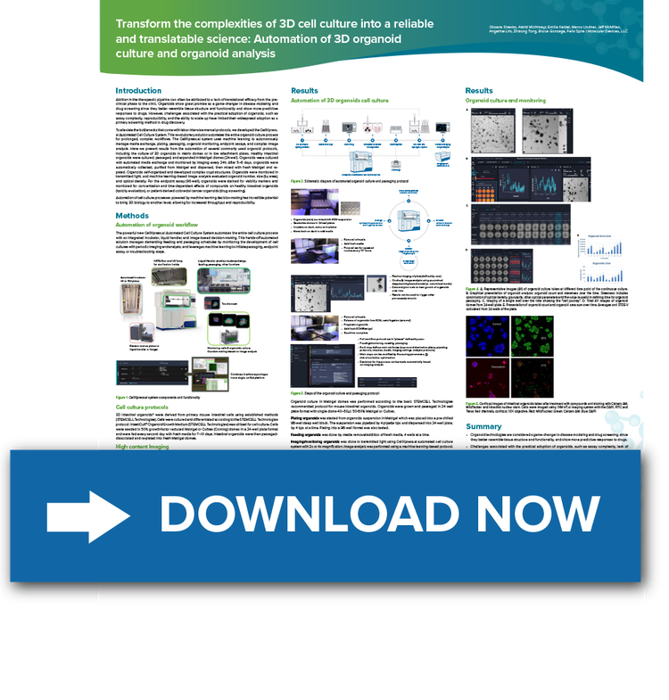 3D cell culture poster