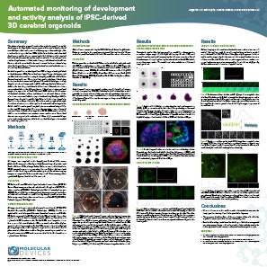 3D cerebral organoids Poster