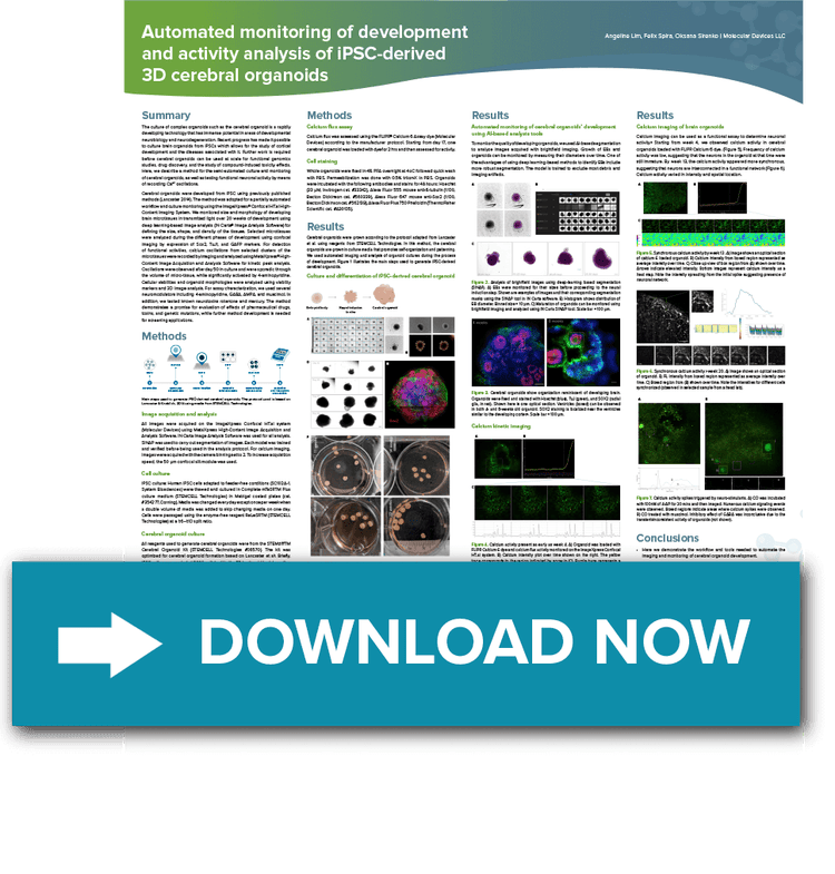 3D cerebral organoids Poster
