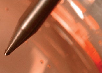 microbial and mammalian clone screening
