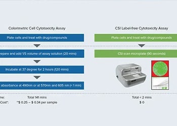 cytotoxic and antiproliferative activities of drug compounds