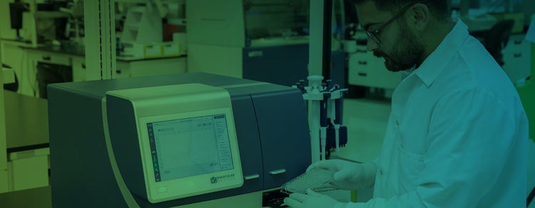 drug discovery and development