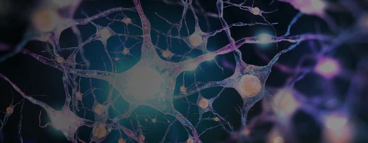 Electrophysiology Studies