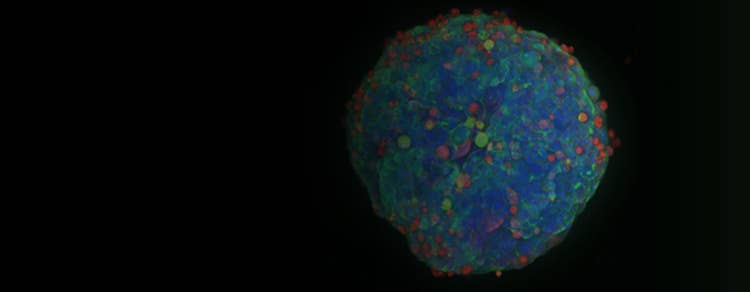 3D imaging