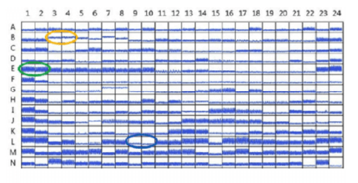 EarlyTox 心脏毒性检测