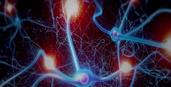 研究通过细胞膜的电流或电压变化的电生理学技术