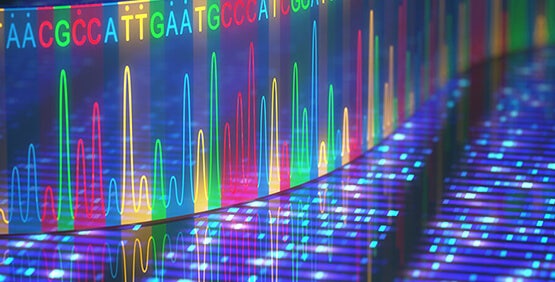 DNA 测序