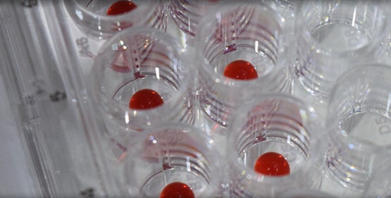 3D 生物打印