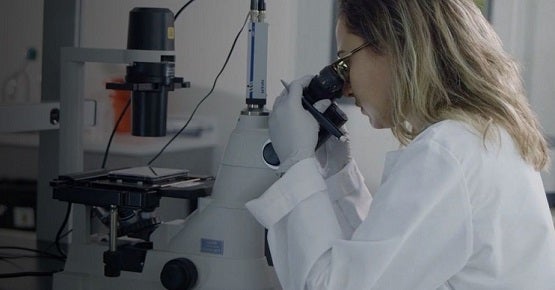 科学家正在进行研究