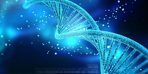 DNA/RNA 定量样品