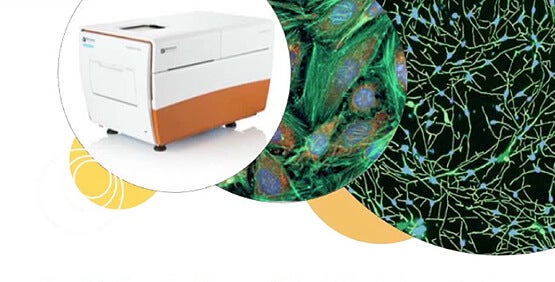 网络讲座：定量 iPSC 的生物复杂性