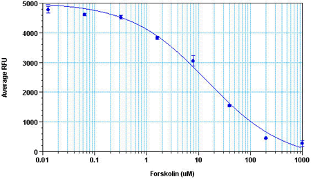 HEK293 细胞中的 Forskolin 剂量效应