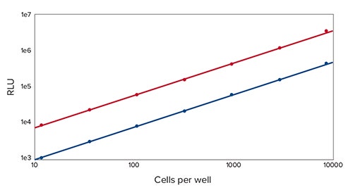 HeLa cells transfected (red plot) and Renilla (blue plot) luciferases