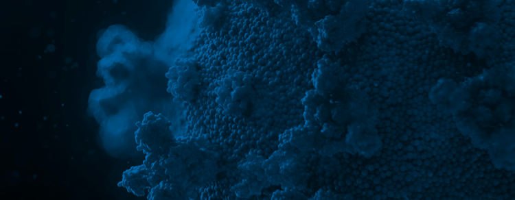 COVID-19 cellular responses