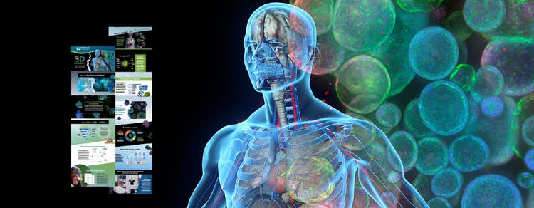 3D 生物学：next-generation drug discovery