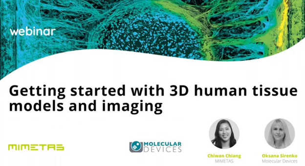 3D 人体组织模型和成像