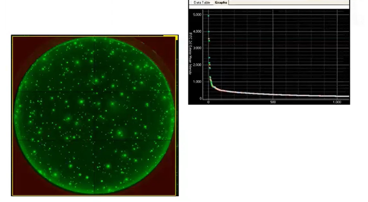 ClonePix: in situ allows cumulative date rather than single-time point to determine productivity